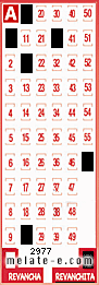 Volante ganador del sorteo 2977 de Revanchita