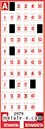 Volante ganador del sorteo de Revanchita con fecha del miércoles  22 de junio de 2016