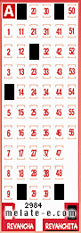 Volante ganador del sorteo 2984 de Revanchita