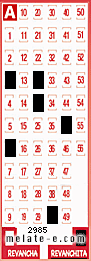 Volante ganador del sorteo 2985 de Revanchita