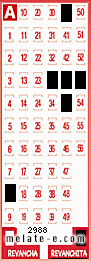 Volante ganador del sorteo 2988 de Revanchita