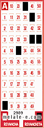 Volante ganador del sorteo 2989 de Revanchita