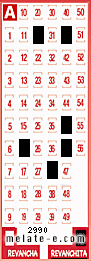 Volante ganador del sorteo 2990 de Revanchita