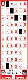Volante ganador del sorteo 2991 de Revanchita