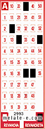 Volante ganador del sorteo 2993 de Revanchita