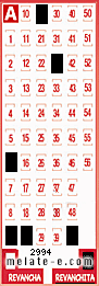 Volante ganador del sorteo 2994 de Revanchita