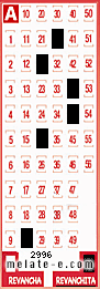 Volante ganador del sorteo 2996 de Revanchita