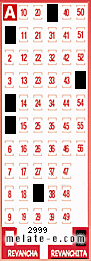 Volante ganador del sorteo 2999 de Revanchita