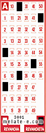 Volante ganador del sorteo 3001 de Revanchita
