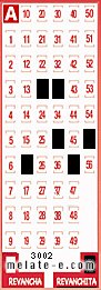 Volante ganador del sorteo 3002 de Revanchita