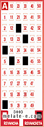 Volante ganador del sorteo 3003 de Revanchita