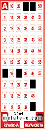 Volante ganador del sorteo 3004 de Revanchita