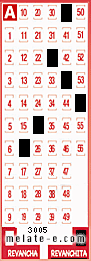 Volante ganador del sorteo 3005 de Revanchita