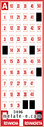 Volante ganador del sorteo 3006 de Revanchita