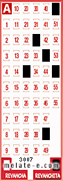 Volante ganador del sorteo 3007 de Revanchita