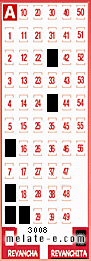 Volante ganador del sorteo 3008 de Revanchita