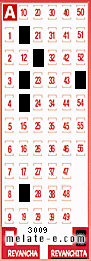 Volante ganador del sorteo 3009 de Revanchita