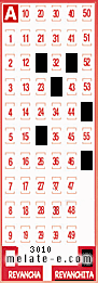 Volante ganador del sorteo 3010 de Revanchita