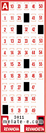 Volante ganador del sorteo 3011 de Revanchita