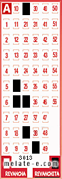 Volante ganador del sorteo 3013 de Revanchita