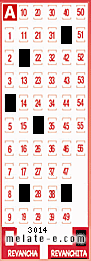 Volante ganador del sorteo 3014 de Revanchita