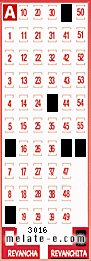 Volante ganador del sorteo 3016 de Revanchita