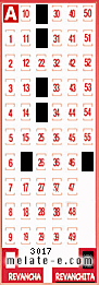 Volante ganador del sorteo 3017 de Revanchita