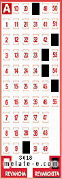Volante ganador del sorteo 3018 de Revanchita
