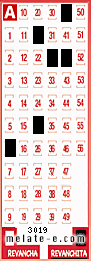 Volante ganador del sorteo 3019 de Revanchita