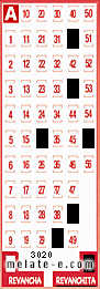 Volante ganador del sorteo 3020 de Revanchita