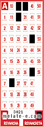 Volante ganador del sorteo 3021 de Revanchita