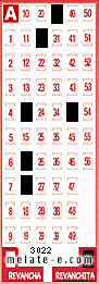 Volante ganador del sorteo 3022 de Revanchita