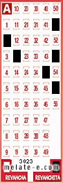Volante ganador del sorteo 3023 de Revanchita