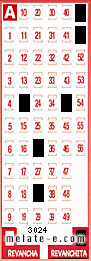 Volante ganador del sorteo 3024 de Revanchita