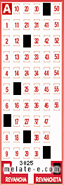 Volante ganador del sorteo 3025 de Revanchita