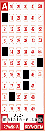 Volante ganador del sorteo 3027 de Revanchita