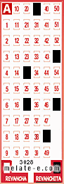 Volante ganador del sorteo 3028 de Revanchita