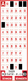 Volante ganador del sorteo 3029 de Revanchita