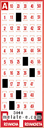 Volante ganador del sorteo 3040 de Revanchita