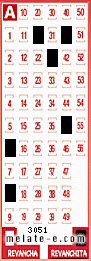 Volante ganador del sorteo 3051 de Revanchita