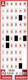 Volante ganador del sorteo 3516 de Revanchita