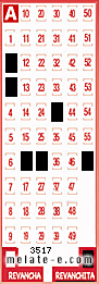 Volante ganador del sorteo 3517 de Revanchita