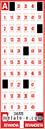 Volante ganador del sorteo 3655 de Revanchita