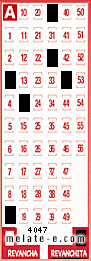 Volante ganador del sorteo 4047 de Revanchita
