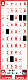 Volante ganador del sorteo 4049 de Revanchita