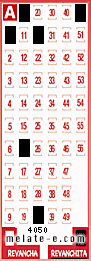 Volante ganador del sorteo 4050 de Revanchita