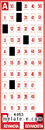 Volante ganador del sorteo 4053 de Revanchita