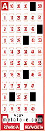 Volante ganador del sorteo 4057 de Revanchita