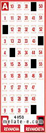 Volante ganador del sorteo 4058 de Revanchita