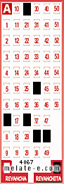 Volante ganador del sorteo de Revanchita con fecha del domingo   8 de junio de 2025